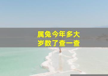 属兔今年多大岁数了查一查