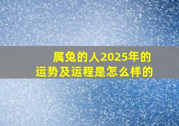 属兔的人2025年的运势及运程是怎么样的