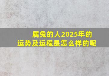 属兔的人2025年的运势及运程是怎么样的呢