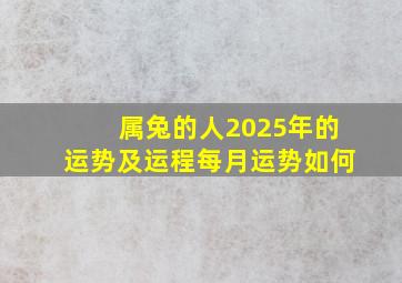 属兔的人2025年的运势及运程每月运势如何