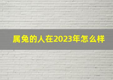 属兔的人在2023年怎么样