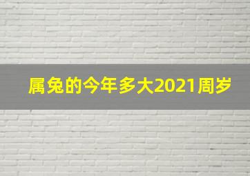 属兔的今年多大2021周岁