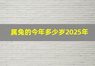 属兔的今年多少岁2025年