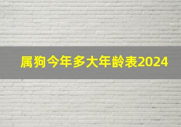 属狗今年多大年龄表2024