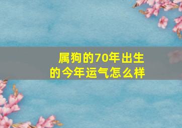 属狗的70年出生的今年运气怎么样