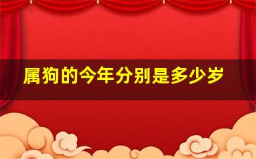 属狗的今年分别是多少岁