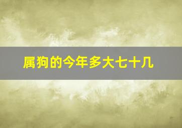 属狗的今年多大七十几