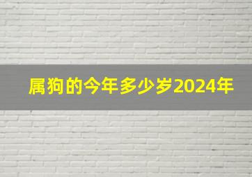 属狗的今年多少岁2024年