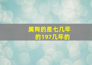 属狗的是七几年的197几年的