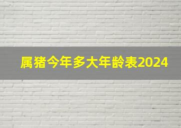 属猪今年多大年龄表2024