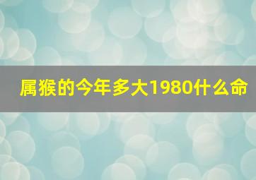 属猴的今年多大1980什么命