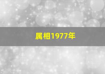 属相1977年