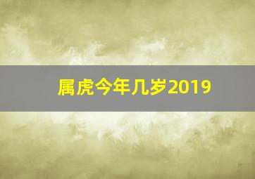 属虎今年几岁2019