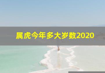 属虎今年多大岁数2020