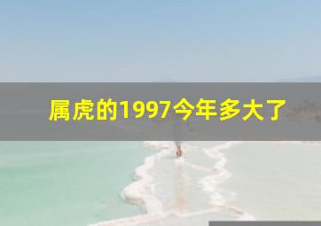 属虎的1997今年多大了