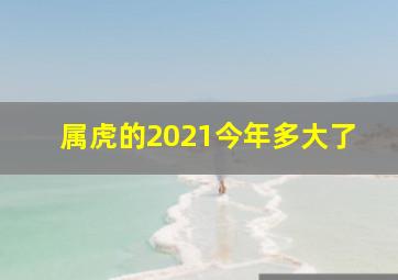 属虎的2021今年多大了