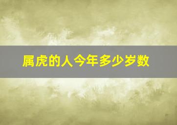 属虎的人今年多少岁数