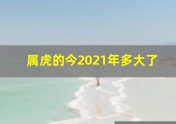 属虎的今2021年多大了