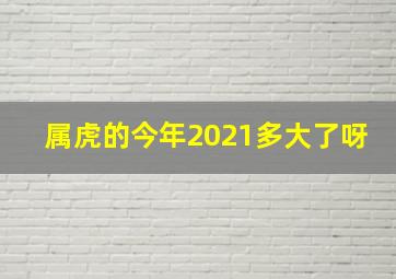 属虎的今年2021多大了呀