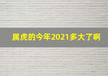 属虎的今年2021多大了啊