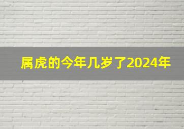 属虎的今年几岁了2024年