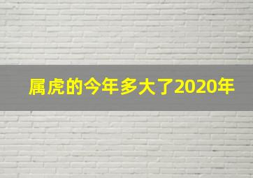 属虎的今年多大了2020年