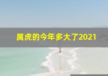 属虎的今年多大了2021