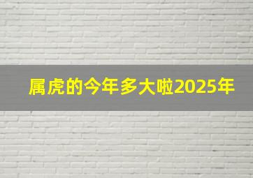 属虎的今年多大啦2025年