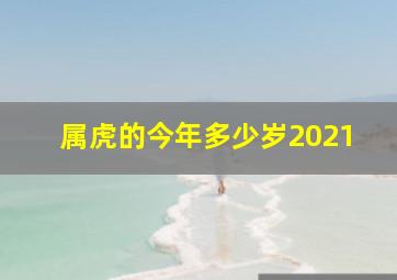 属虎的今年多少岁2021