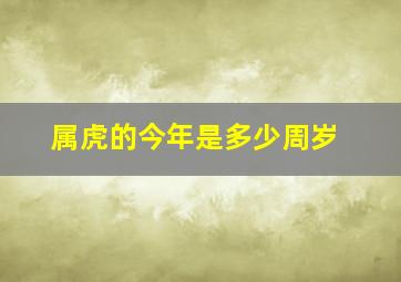 属虎的今年是多少周岁