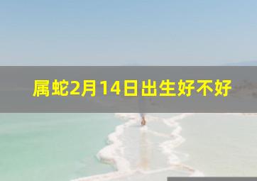 属蛇2月14日出生好不好