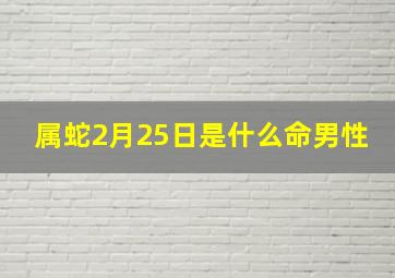 属蛇2月25日是什么命男性