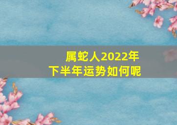 属蛇人2022年下半年运势如何呢