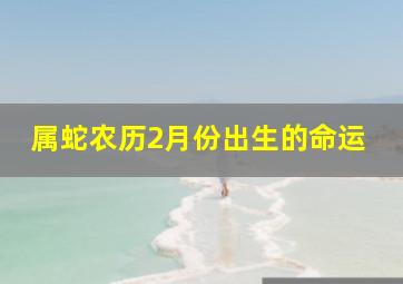 属蛇农历2月份出生的命运