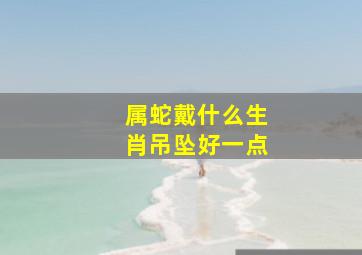 属蛇戴什么生肖吊坠好一点