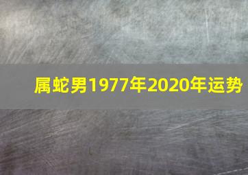 属蛇男1977年2020年运势