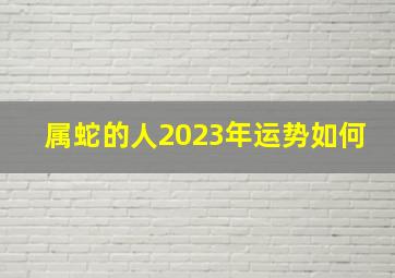 属蛇的人2023年运势如何