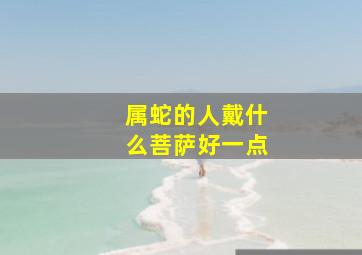 属蛇的人戴什么菩萨好一点