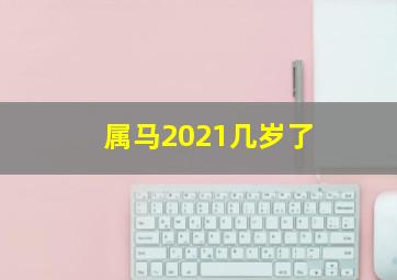 属马2021几岁了