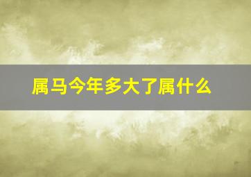 属马今年多大了属什么