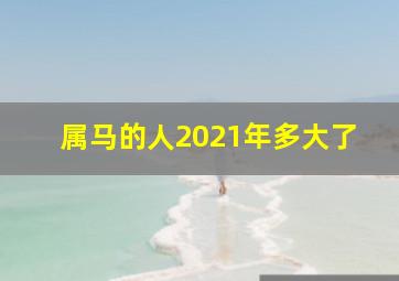 属马的人2021年多大了