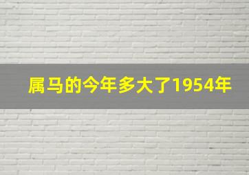 属马的今年多大了1954年