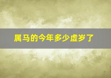 属马的今年多少虚岁了