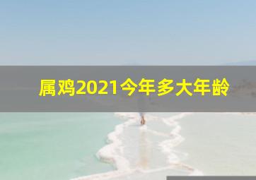 属鸡2021今年多大年龄