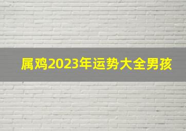 属鸡2023年运势大全男孩