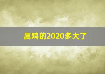 属鸡的2020多大了