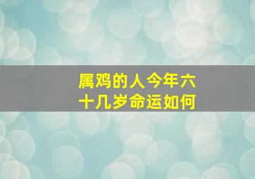 属鸡的人今年六十几岁命运如何