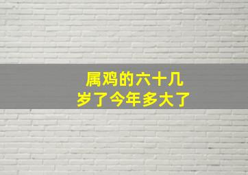 属鸡的六十几岁了今年多大了