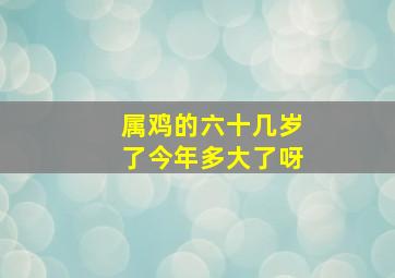 属鸡的六十几岁了今年多大了呀