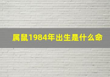 属鼠1984年出生是什么命